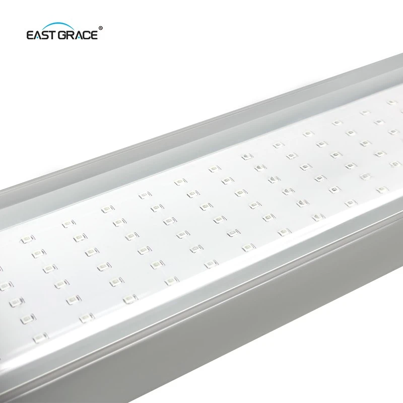 LED Breeding Reptile Light Fixture For BSF suppliers