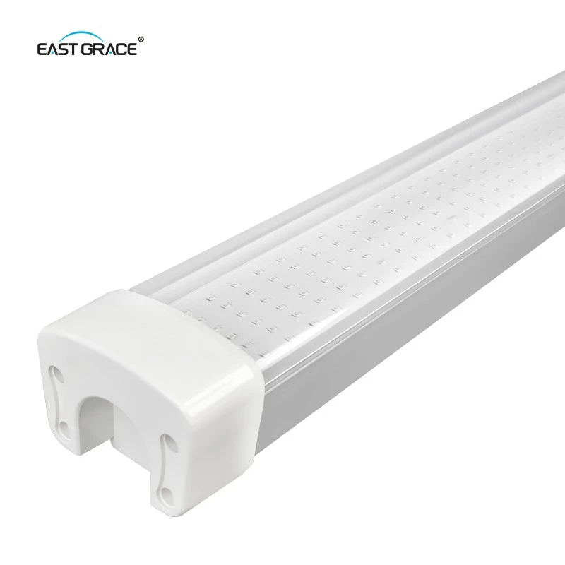 LED Breeding Reptile Light Fixture For BSF best