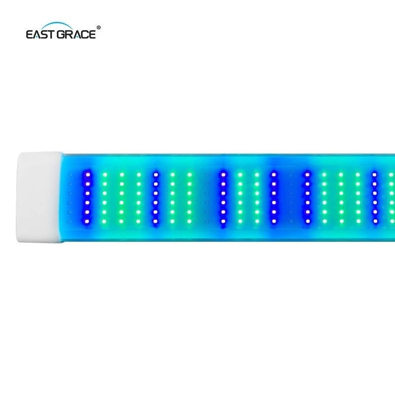 LED Breeding Reptile Light Fixture For BSF manufacturers