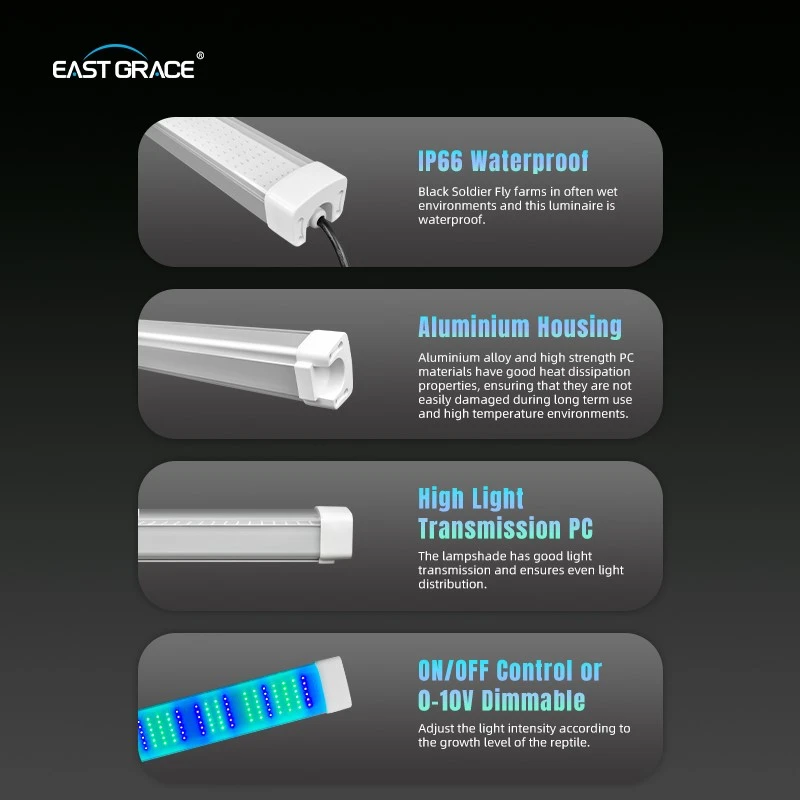product-800-800